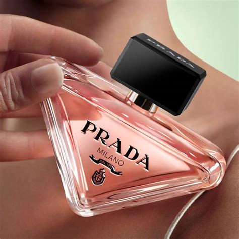 paradoxd prada|prada paradox best price.